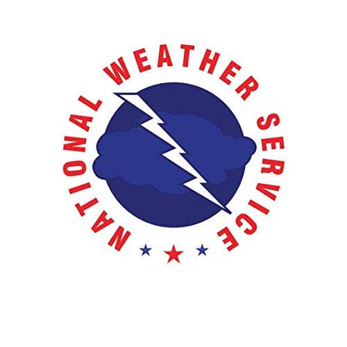 Logo with lighting bolt