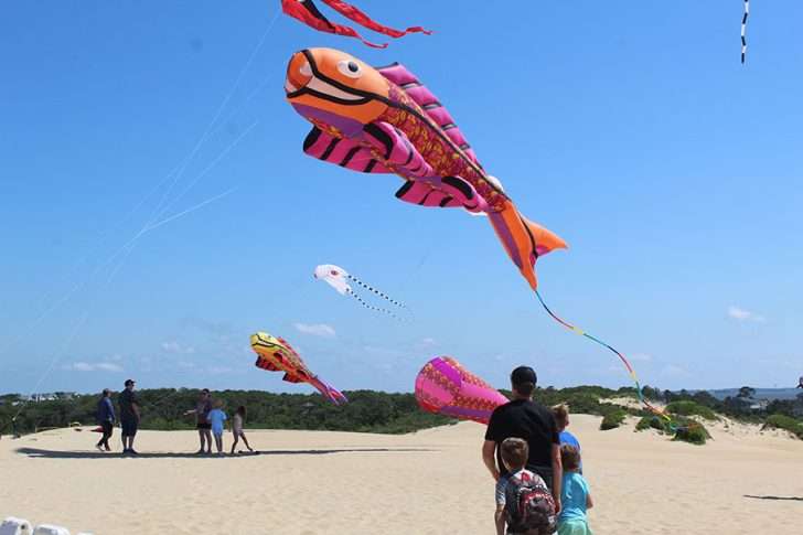People flying kites on sand dne